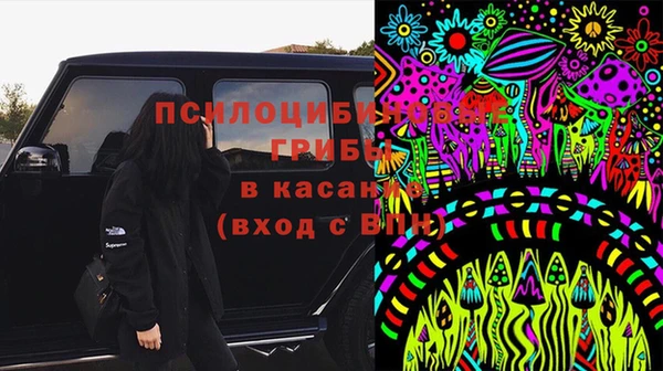 мяу мяу мука Алзамай