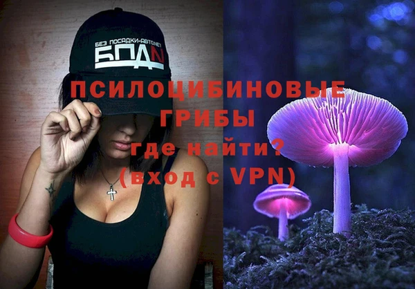 ГАЛЛЮЦИНОГЕННЫЕ ГРИБЫ Алексин