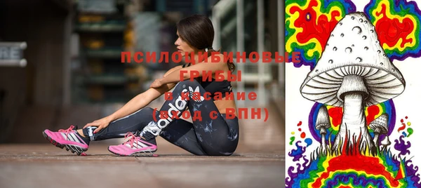 прущая мука Рославль