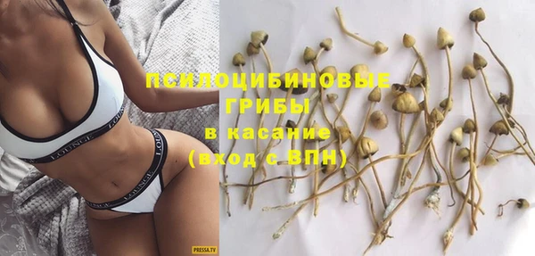 ГАЛЛЮЦИНОГЕННЫЕ ГРИБЫ Алексин